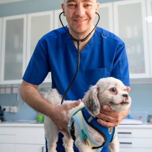 Dog Premium Wellness Plan