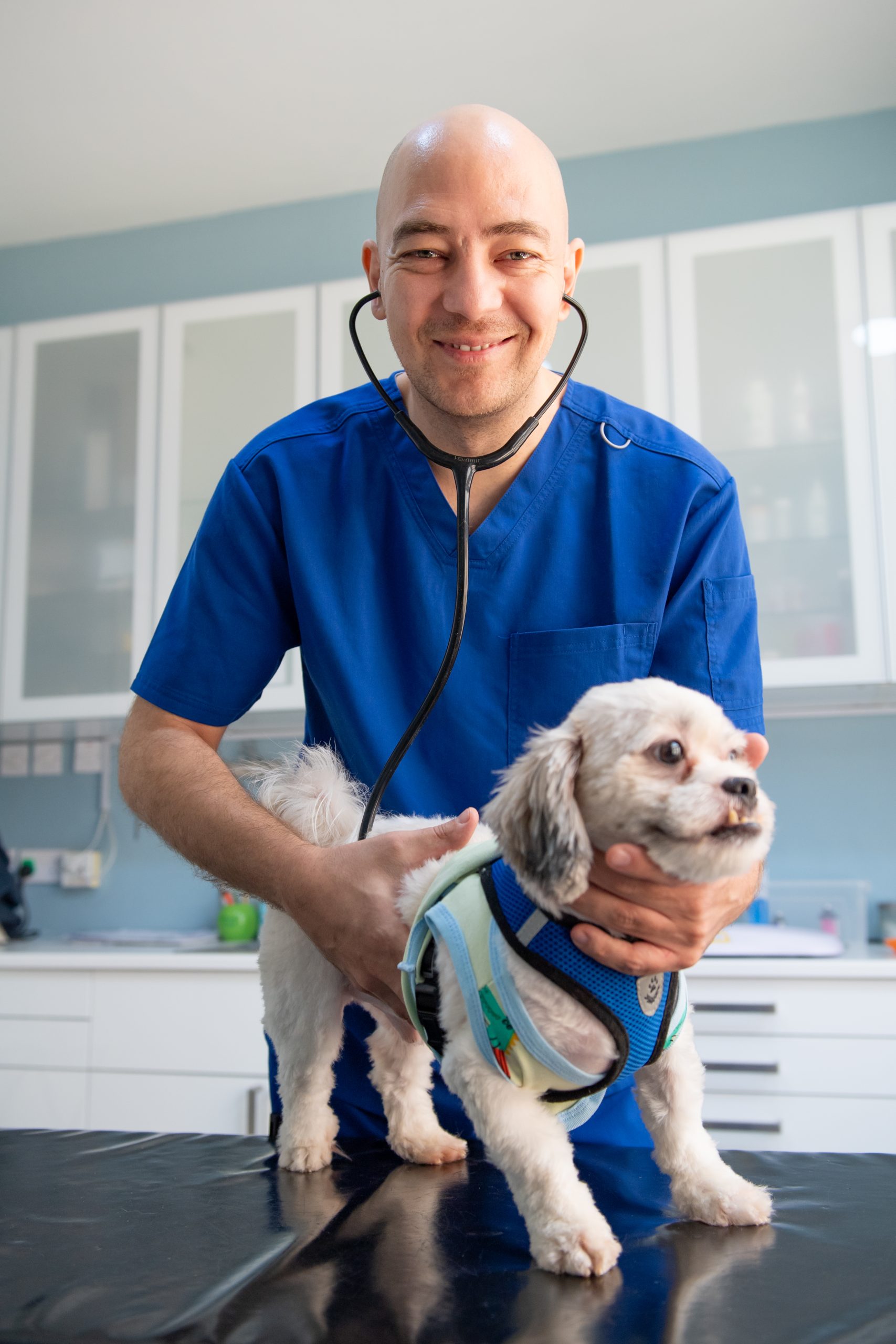 Dog Premium Wellness Plan